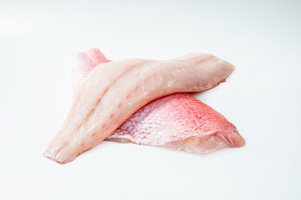 Red Snapper - Image 2