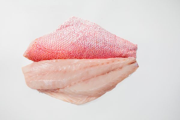 Red Snapper - Image 3