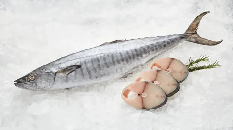 Frozen King Fish
