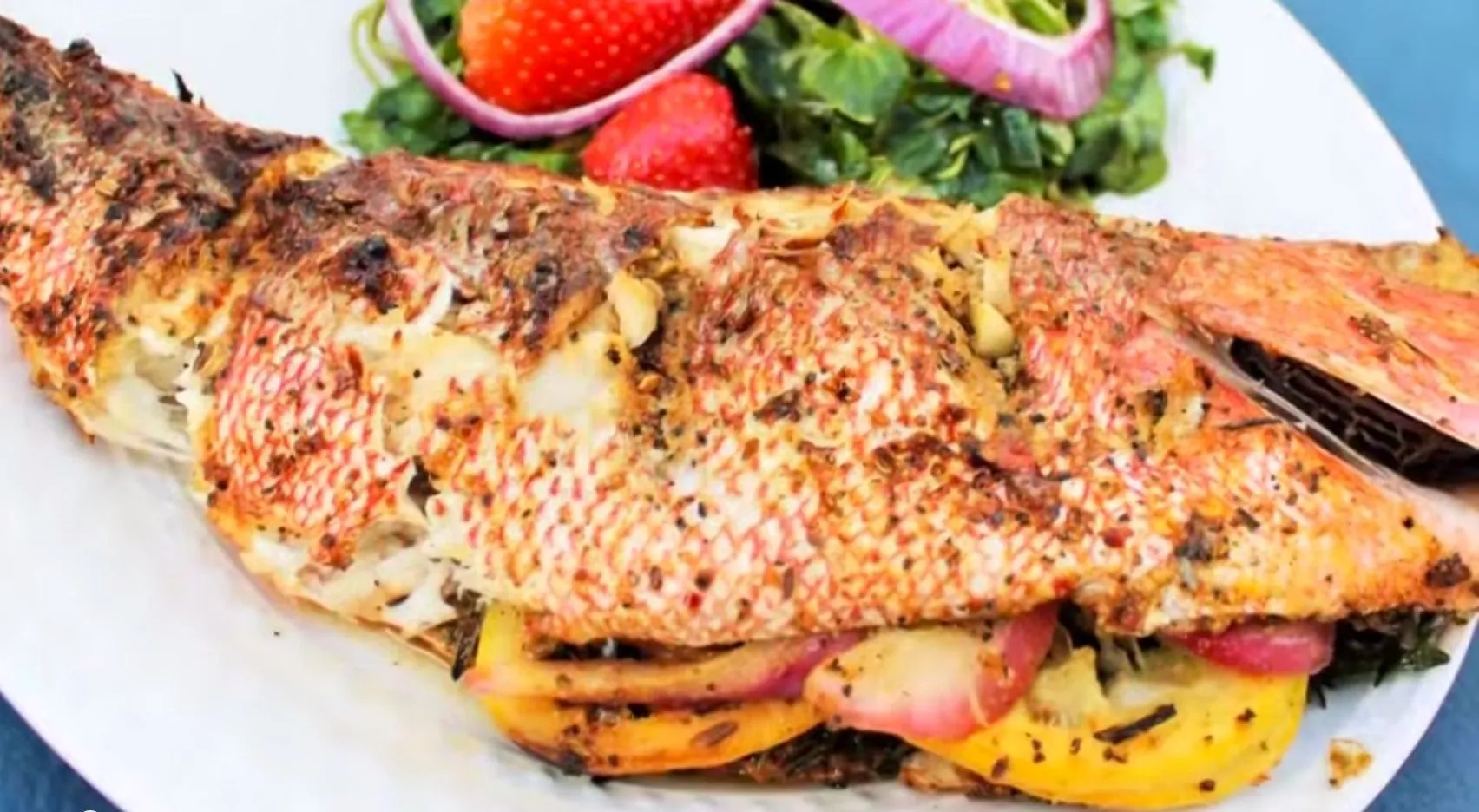 Red Snapper Fish