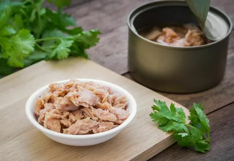 Can of Tuna Fish