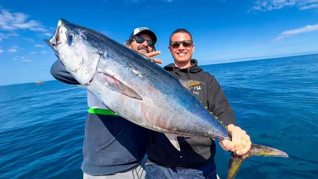Whole Tuna Fish