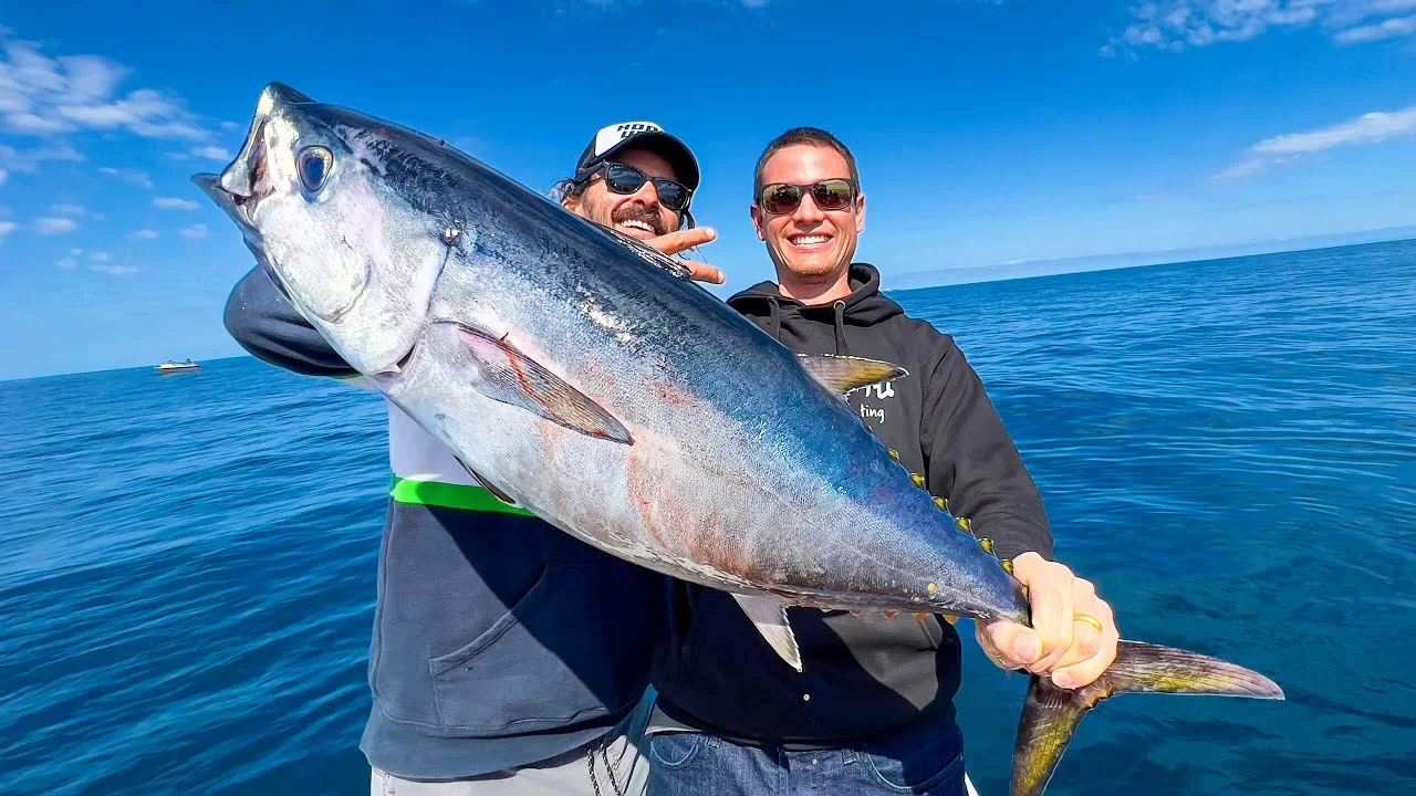 Whole Tuna Fish