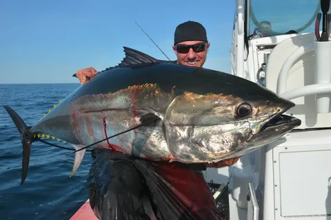 Tuna Fish