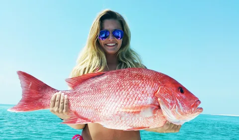 Sustainable Red Snapper Fishing