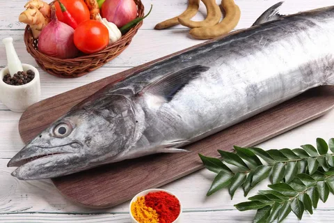 King Fish
