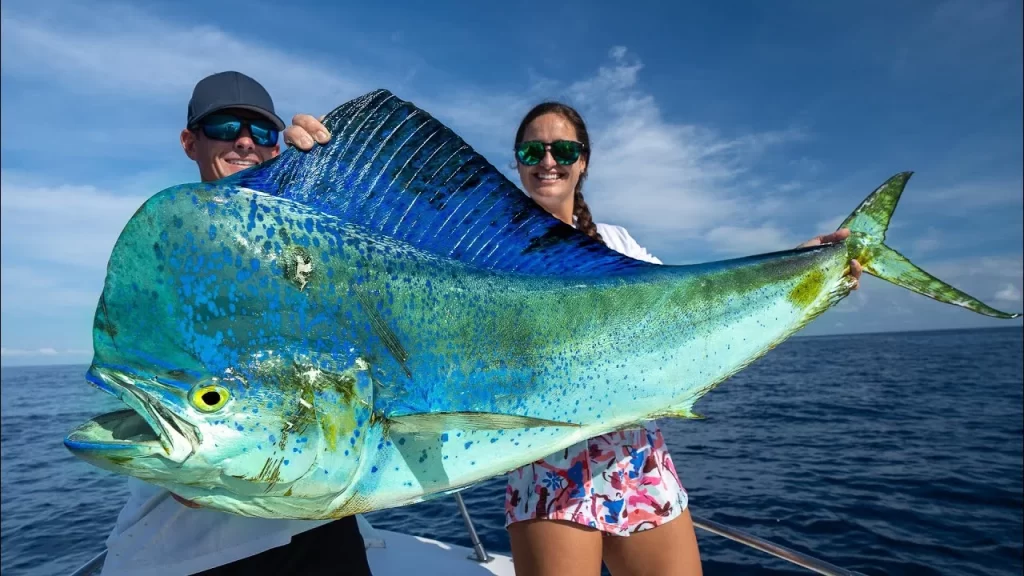 Mahi-Mahi Fish in Brazil