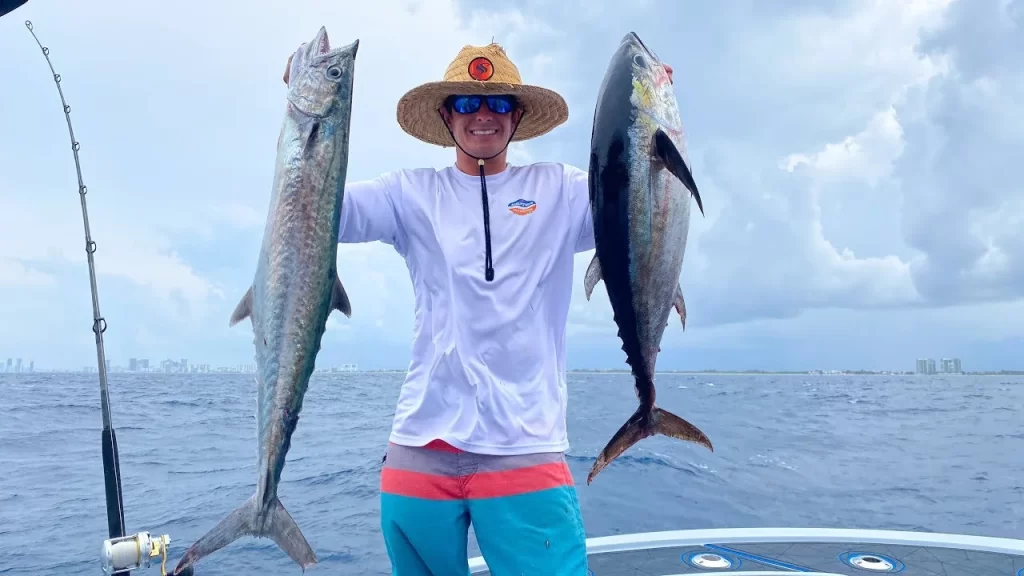 King Fish vs Tuna