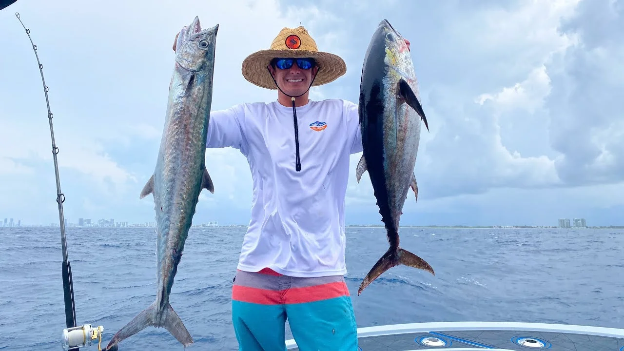 King Fish vs Tuna