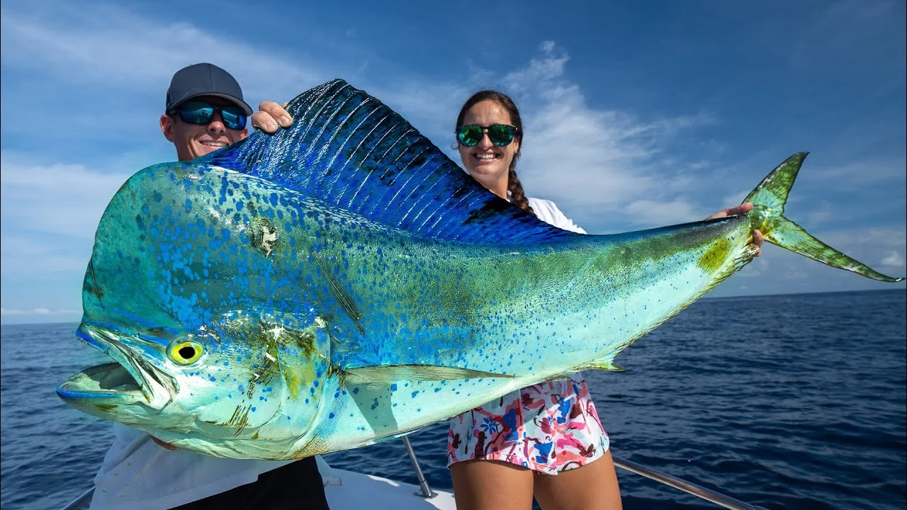 Mahi-Mahi Fish in Brazil